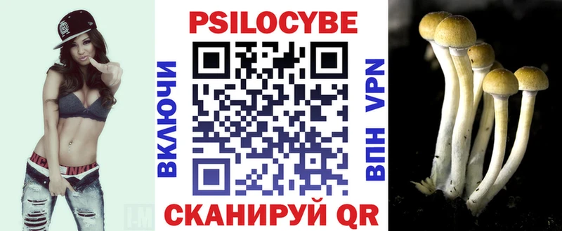 цены Чудово Галлюциногенные грибы GOLDEN TEACHER